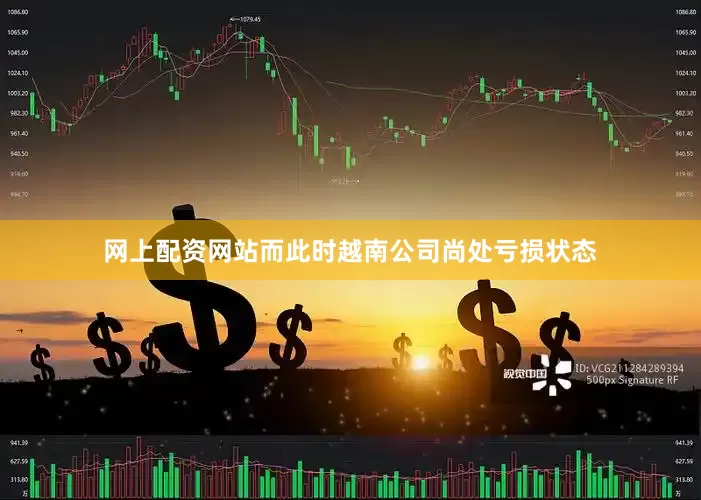 网上配资网站而此时越南公司尚处亏损状态
